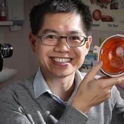 Fred K. Chen Fred K. Chen